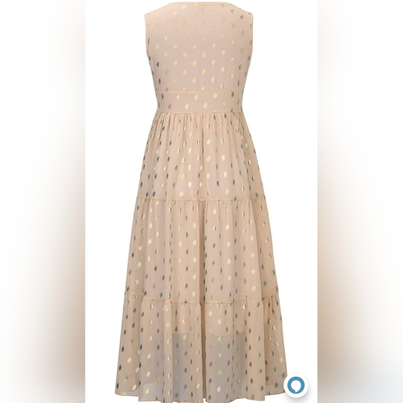 Charlie Charlie Charlotte Apricot Lace Sleeveless Empire Waist Maxi Dress - Picture 6 of 13